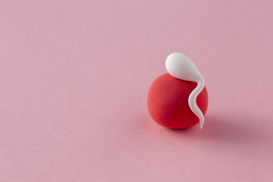How to Become an Egg Donor in New Jersey