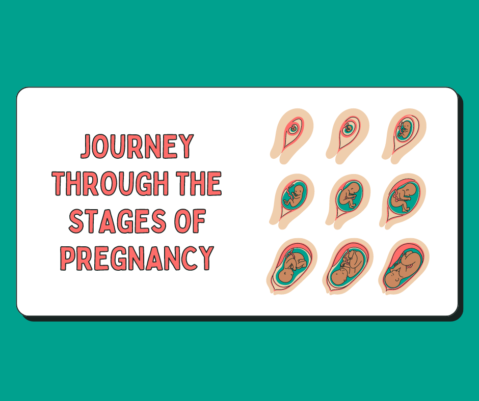 The Surrogacy Journey: Understanding Your Options