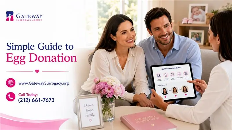 How Donor Eggs Work – Simple Guide to Egg Donation
