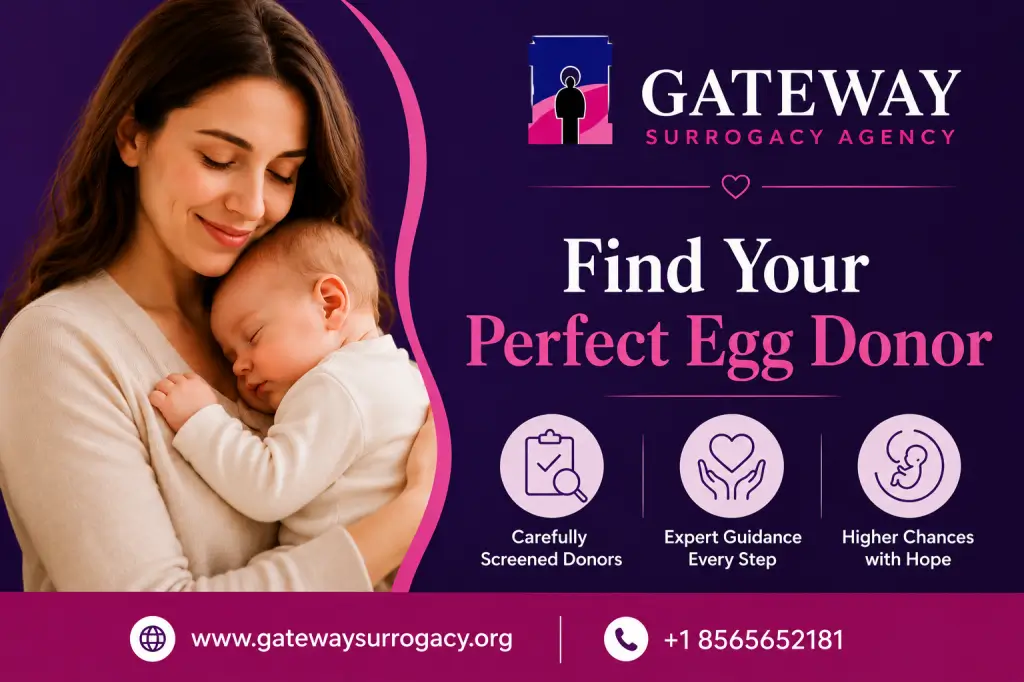 Find an Egg Donor for Your Family Journey Today
