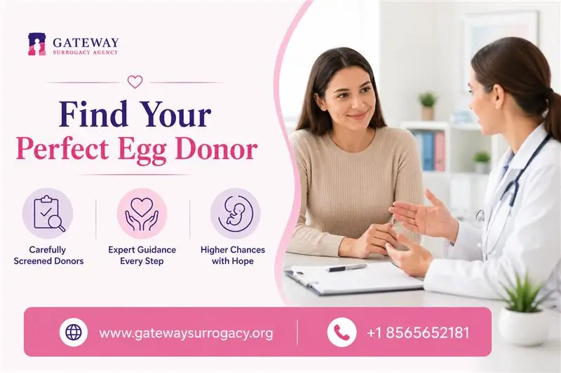 Your Baby Deserves the Perfect Start — Find an Egg Donor Today