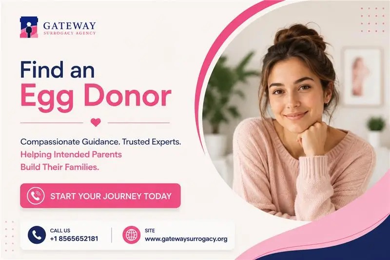 Find an Egg Donor on a Budget as a Single Intended Parent