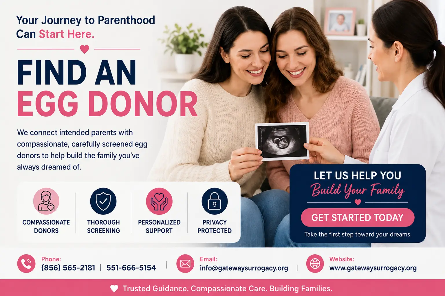 find an egg donor