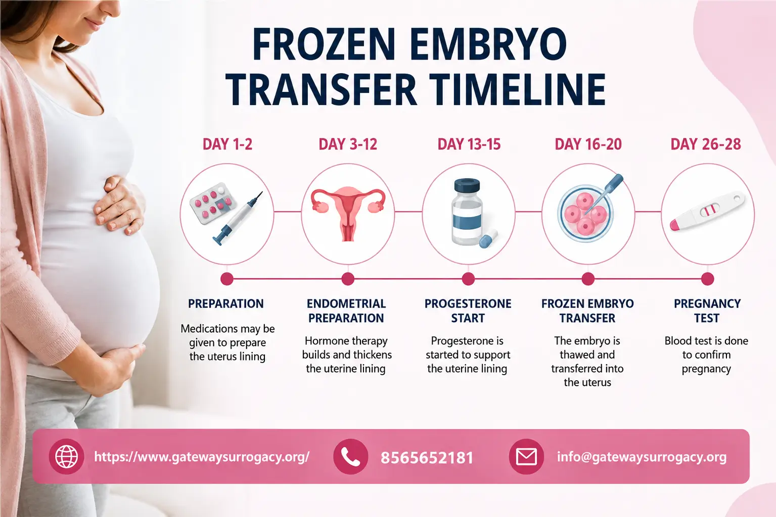 frozen embryo transfer timeline